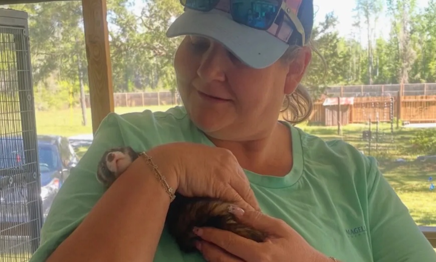 Image 6: Zookeeper for a Day Experience – Sunset Wildlife Connection Florida