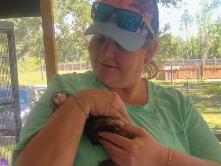 Zookeeper for a Day Experience – Sunset Wildlife Connection Florida