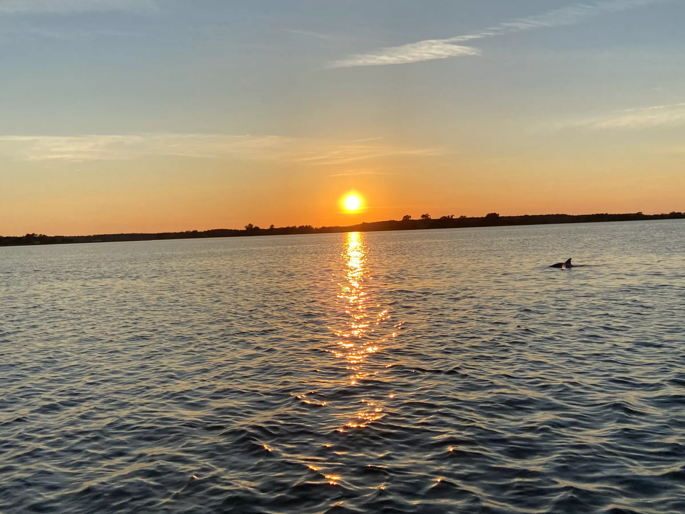 Up to 10% Off on Tour - Boat at Choptank River Boat Cruises - Primary Image