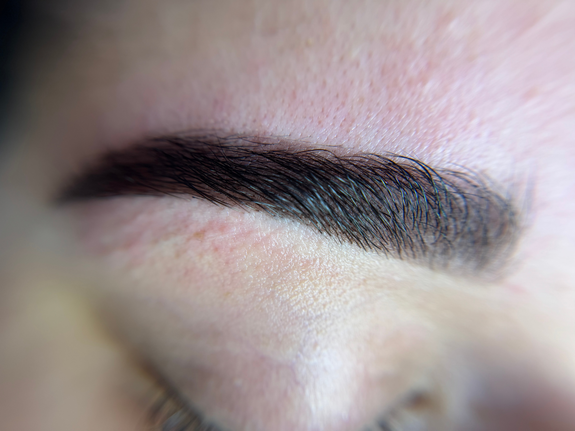 Enhance Your Brows with Wax and Tint Combo