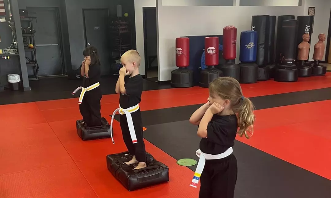 Up to 55% Off on Martial Arts / Karate / MMA at MBS Martial Arts