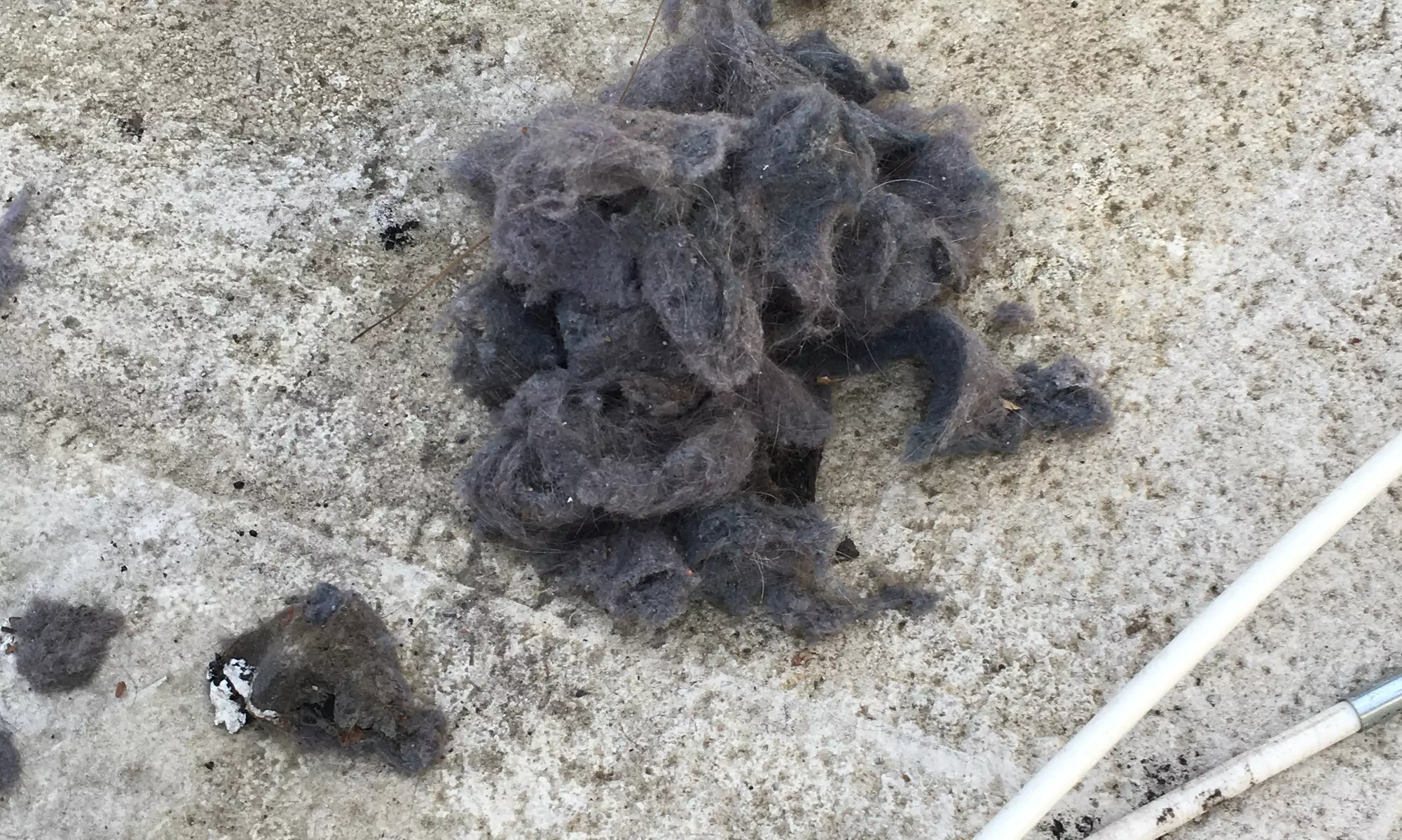 Up to 67% Off on Furnace & Dryer Vent Servicing at L.A Carpet Cleaning Company - Primary Image