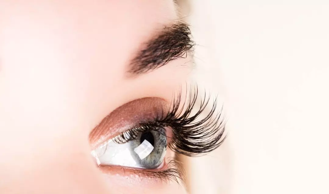 Up to 30% Off on Eyelash Extensions at LASH SALON - Primary Image