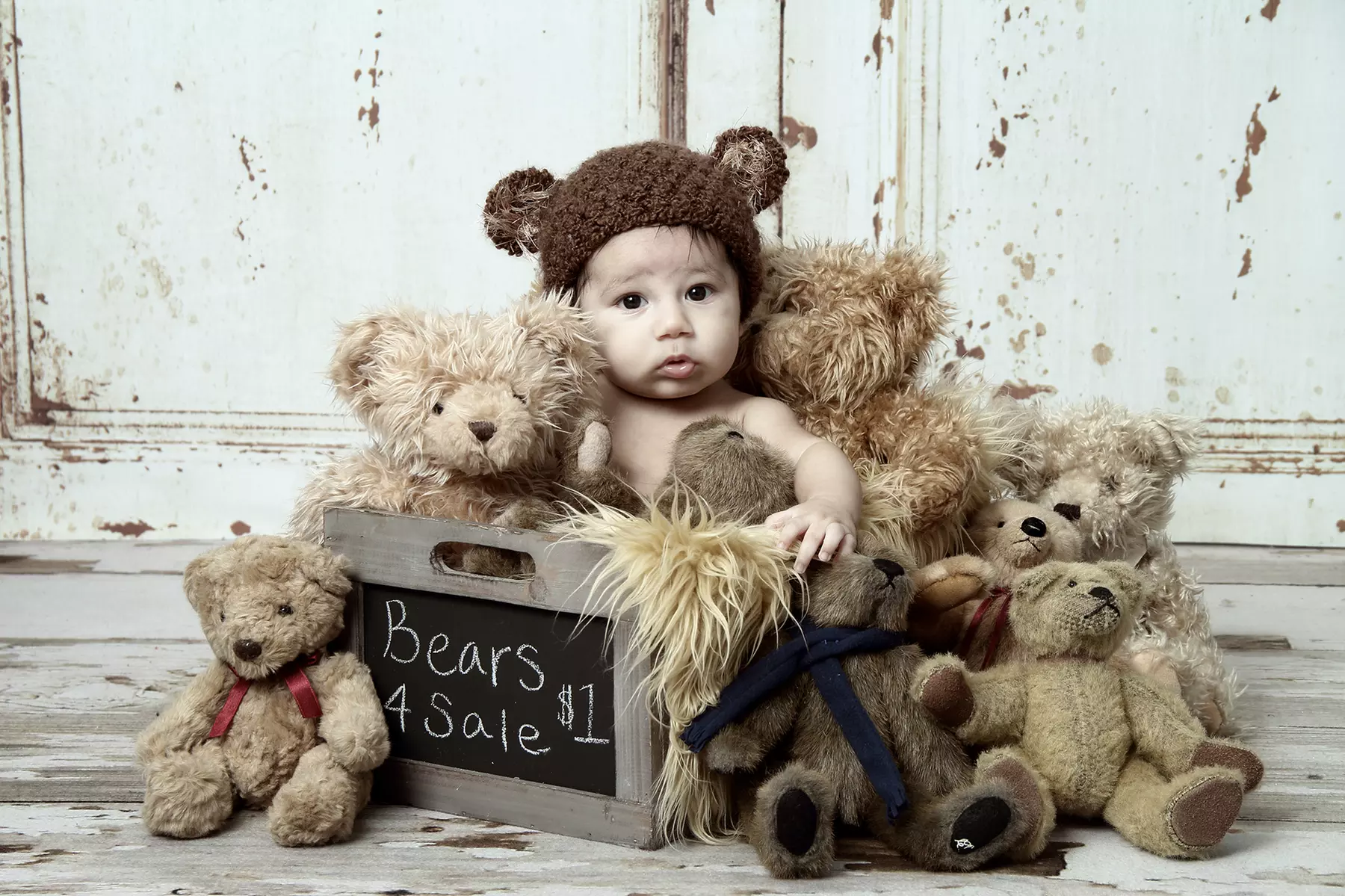Up to 50% Off on Studio Photography at Linda Wilson Photography - Primary Image