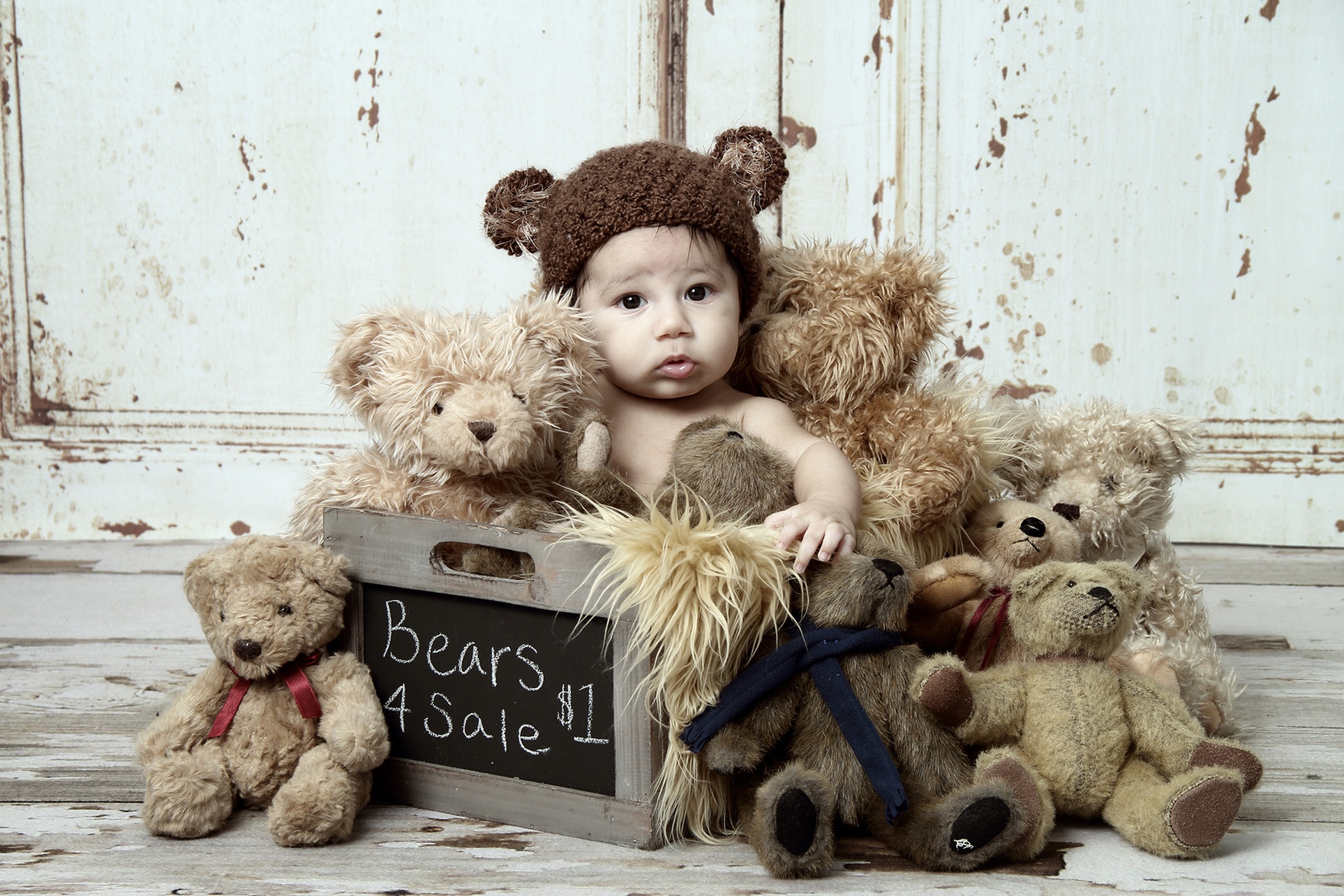 Up to 50% Off on Studio Photography at Linda Wilson Photography