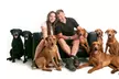 Capture Precious Moments: Pet & Me Photoshoot with Framed 9"x7" Image at ZigZag Photography - Image 5