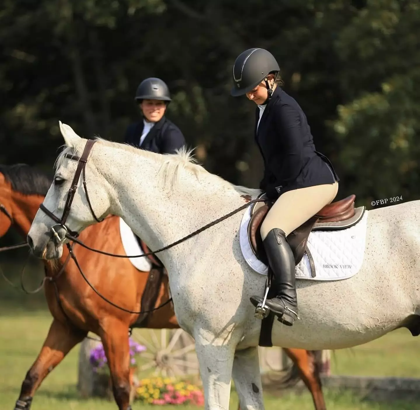 Enjoy Horse Back Riding or 10 Package Lesson