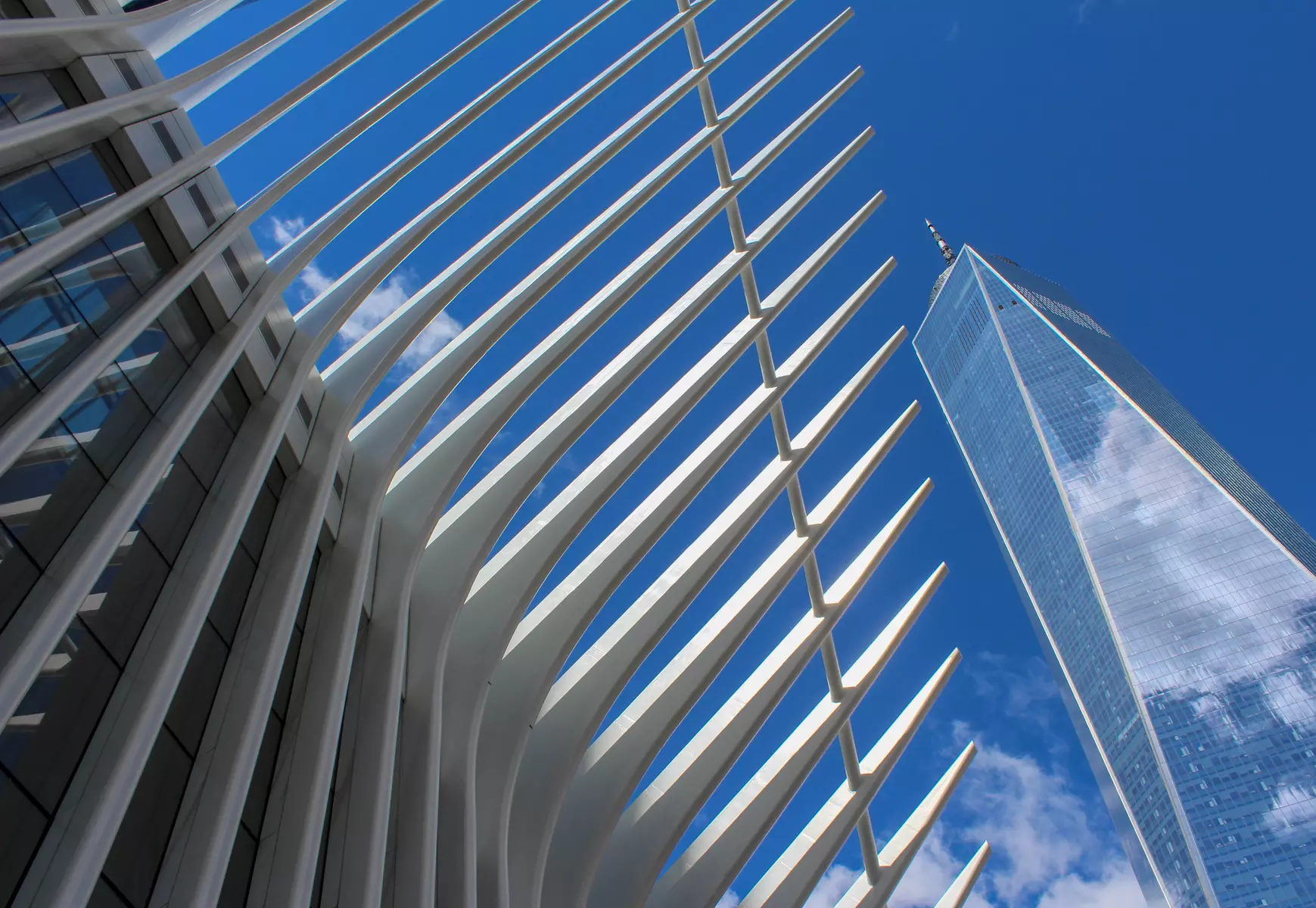 Up to 55% Off on Scavenger Hunt at Questing