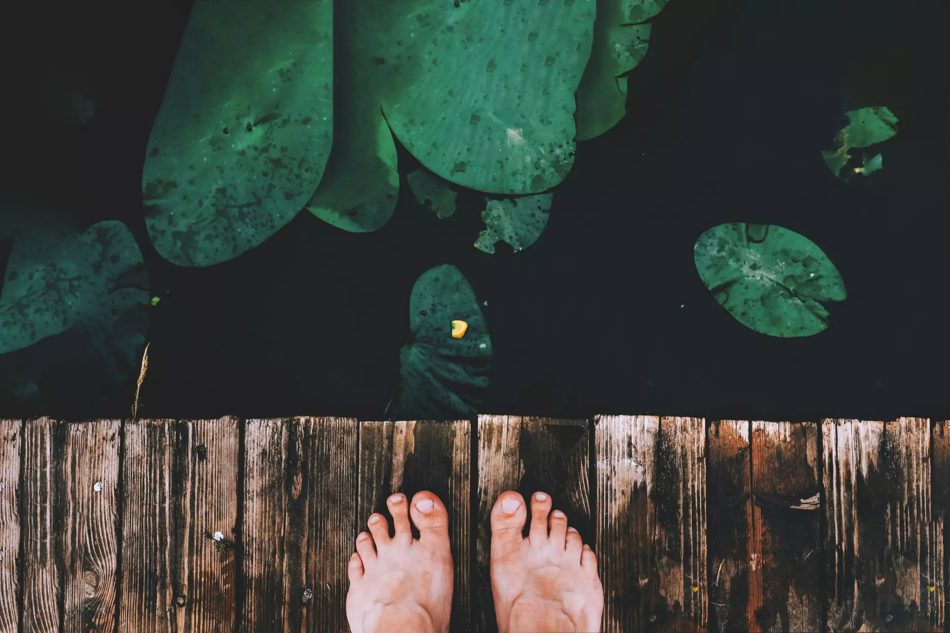 Experience up to 60% off with Gold Coast Holistic Medical Specialists' laser toe fungus treatments on one or both feet - Second Medium