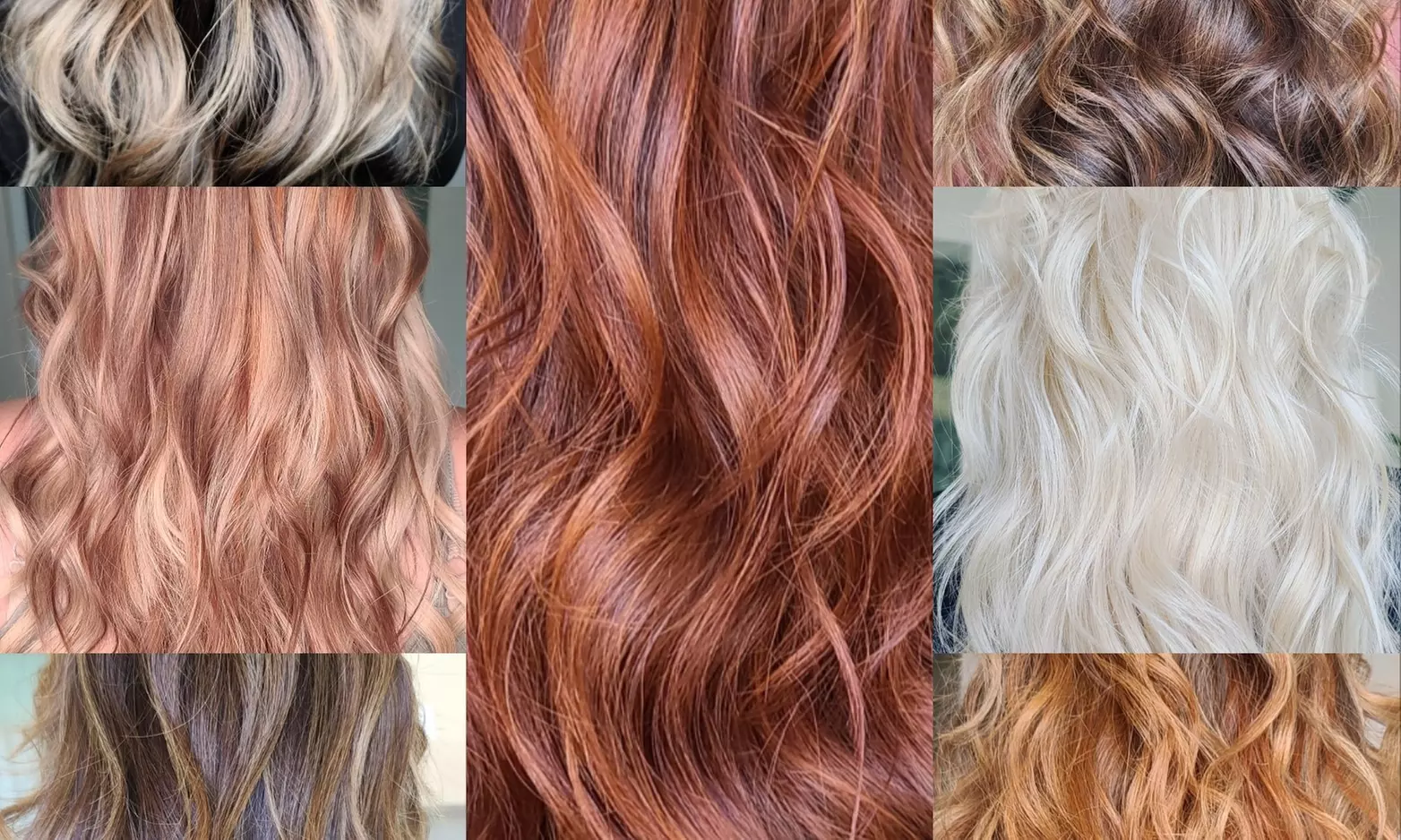 Choice of Haircut, Highlights, or Color with Deep Conditioning