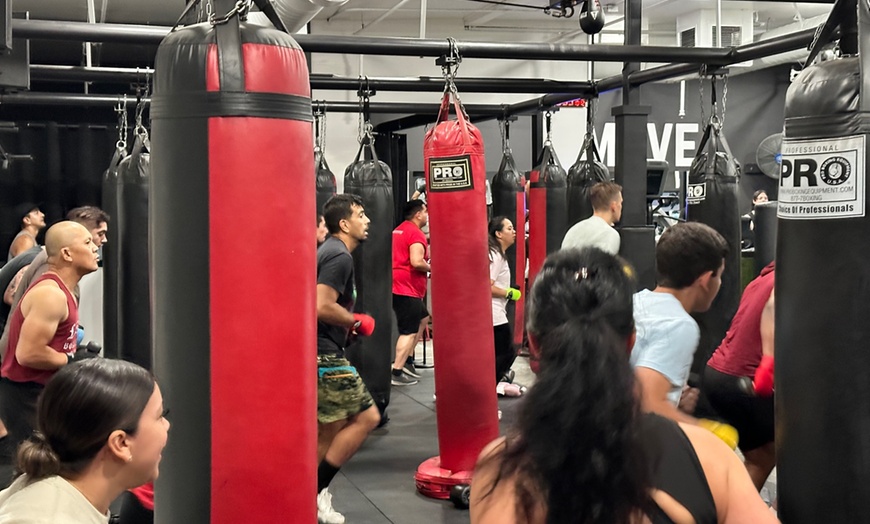 Image 6: Boost Fitness & Skills with Unlimited Boxing or 3 Private Sessions!