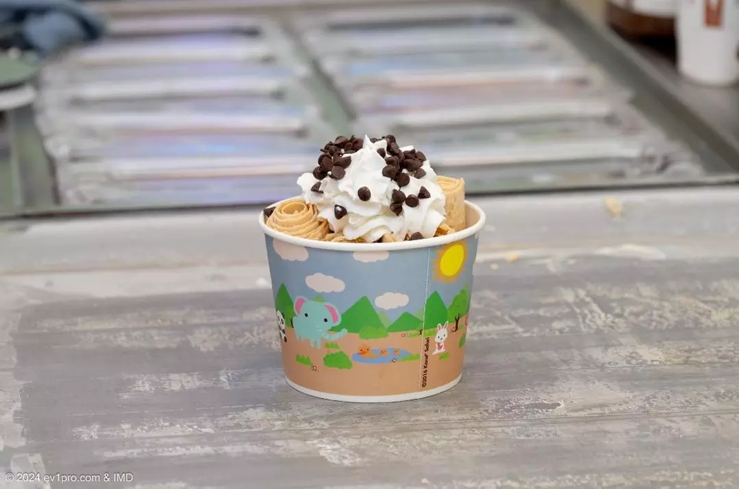 Sweet Ice Cream Rolls in Coconut Beach, Cookies & Cream & More