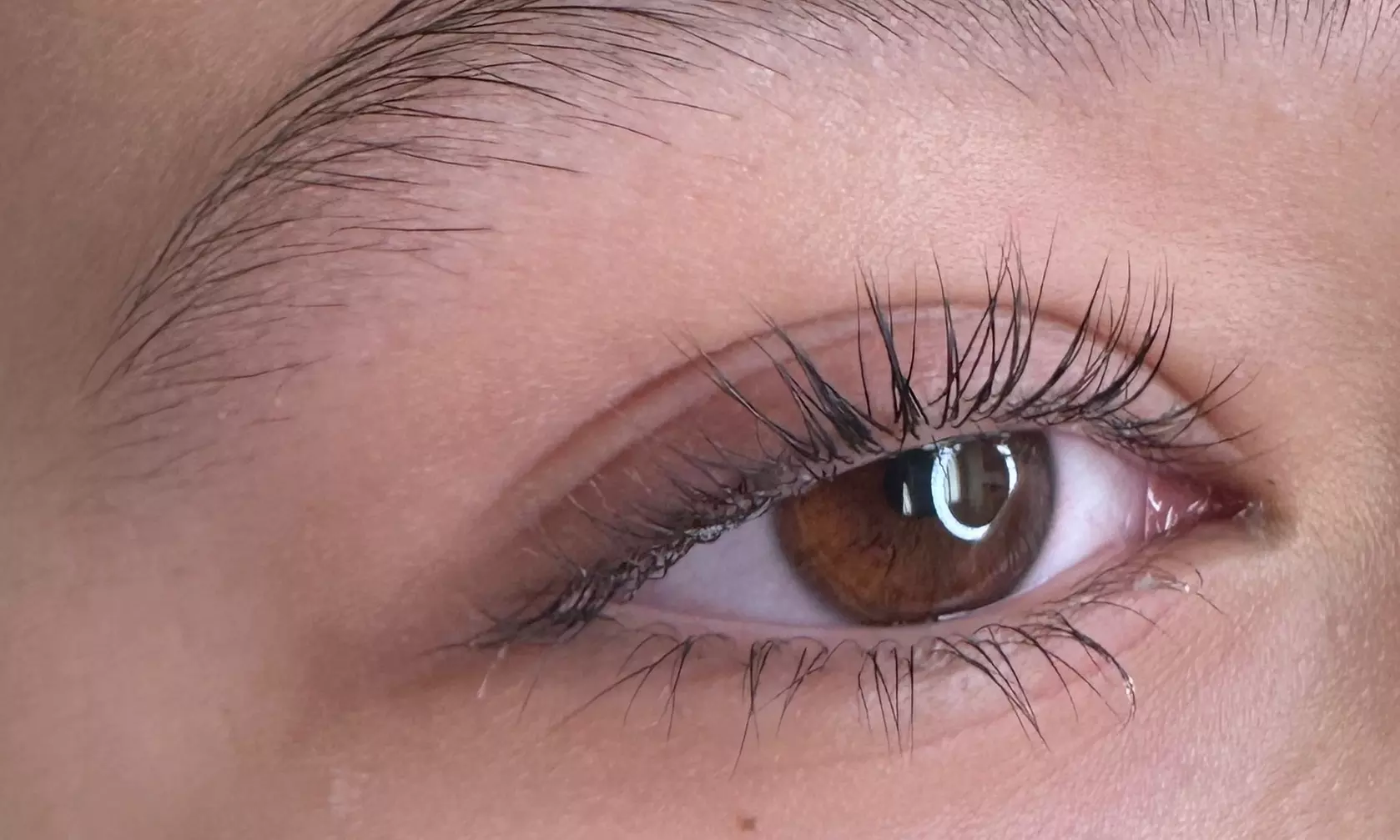 Up to 42% Off on Eyelash Perm at Knockout Lash & Brow Studio - Primary Image