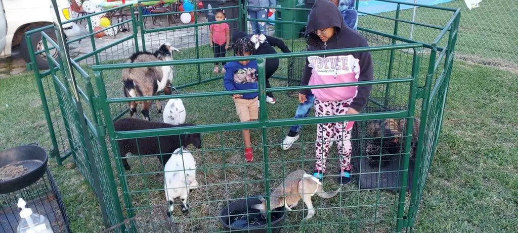 Up to 50% Off on Petting Zoo at Houston indoor petting zoo LLC - Primary Image