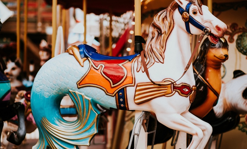 Image 4: Enjoy a Combo of Carousel and Thrilling Bay Plunge 