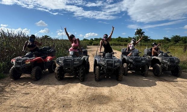 What to expect media