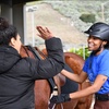Image 1: Discover the joy of horseback riding with Rushton Stables, LA: Four comprehensive lessons for all ages up to 37% off