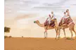 Experience Abu Dhabi Desert Safari For 1 Child, 1 or 2 Adults: Dinner, Live Shows & More (Central & Home Pickup Options) - Image 5