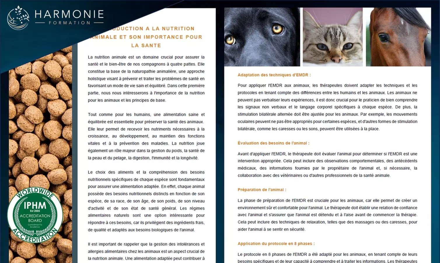 Formation certifiante - praticien(ne) en naturopathie animalière