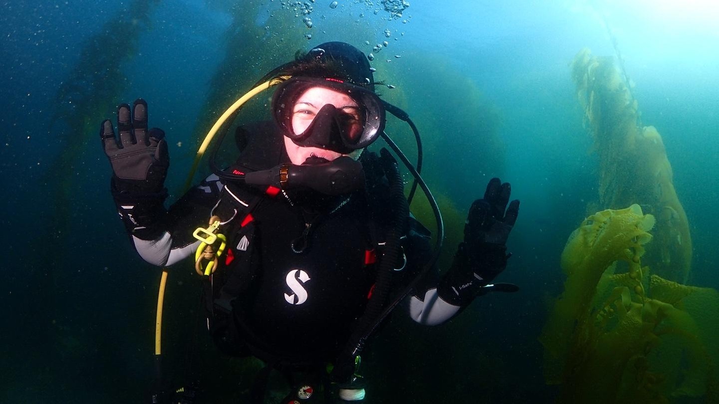 Explore Diving: Beginner PADI Open Water Scuba Certifications