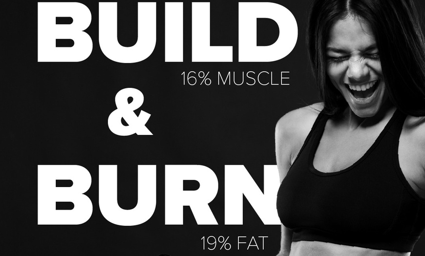 Image 6: One or Two Areas in Single Session or 4 Sessions of Tesla Wave Max EMS