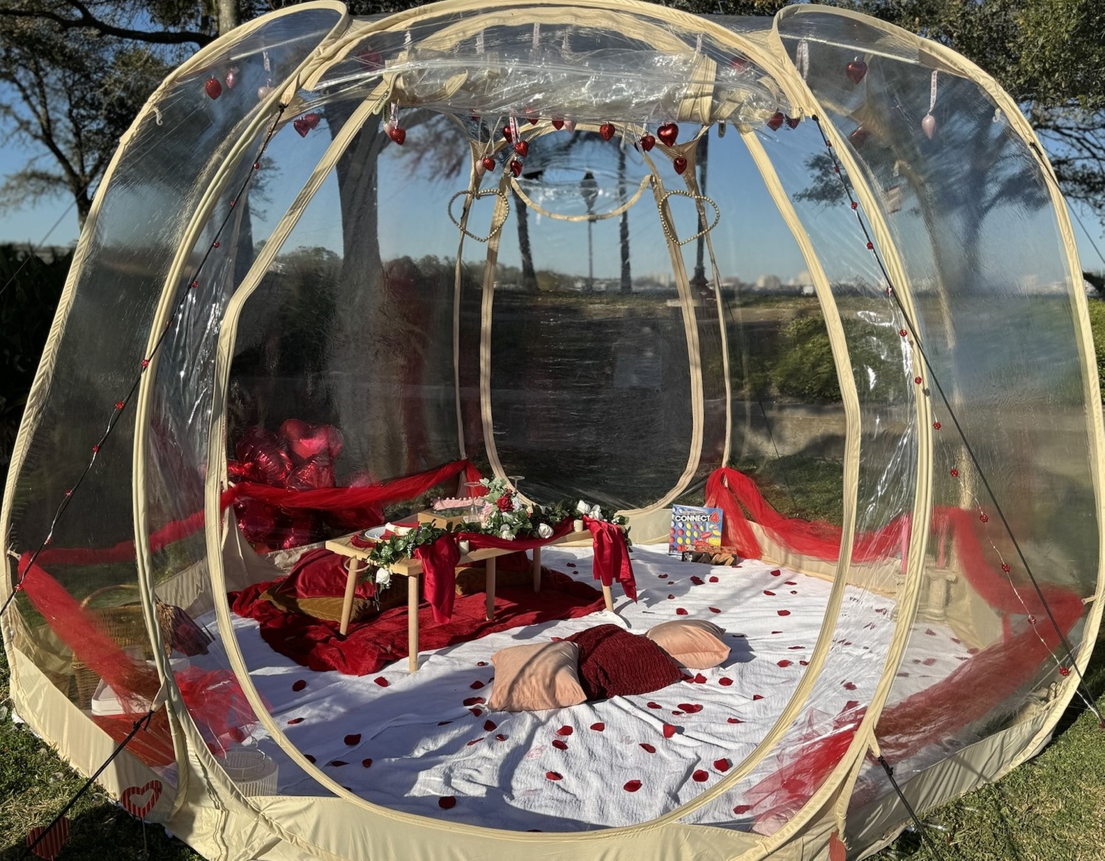 Opulent Picnic Experience with Elegant Clear Gazebo Setup