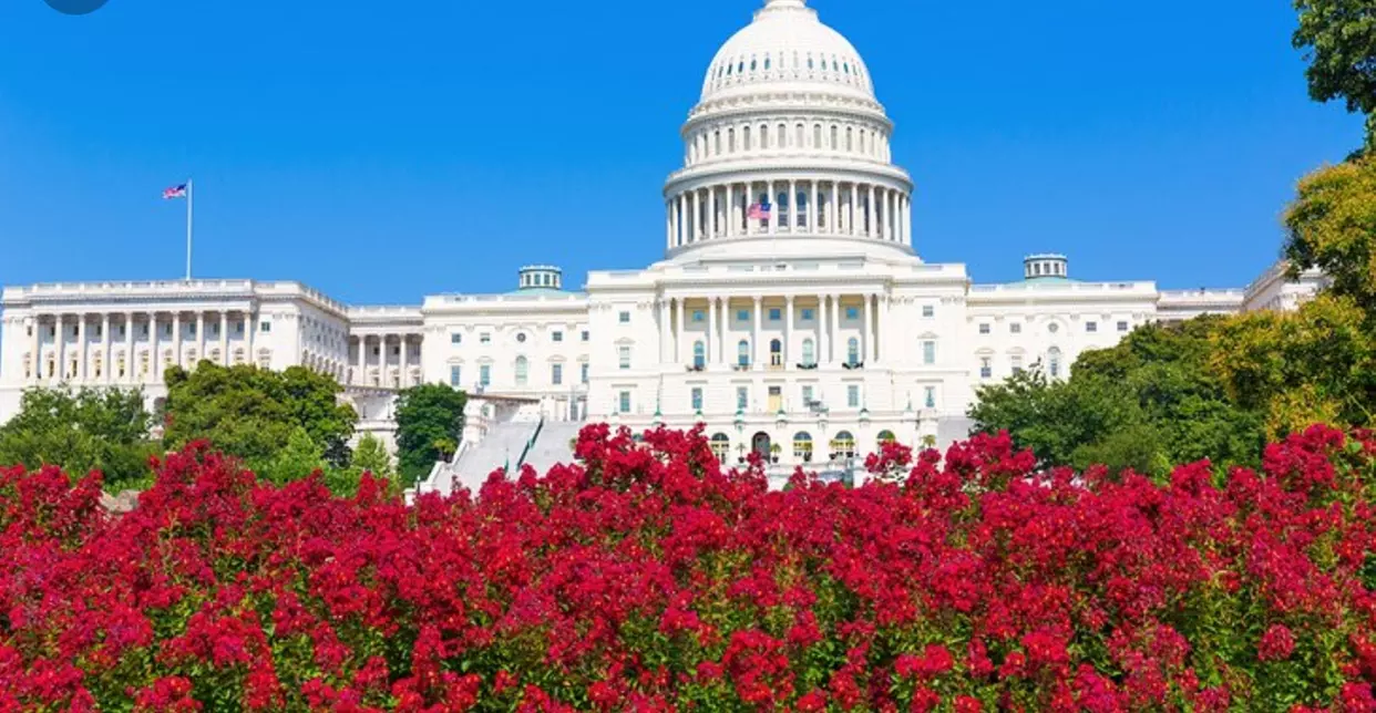 Discover RSN Tours' 4-hour private city tour in Washington D.C., offering comprehensive experiences for up to 30% off - Primary Image