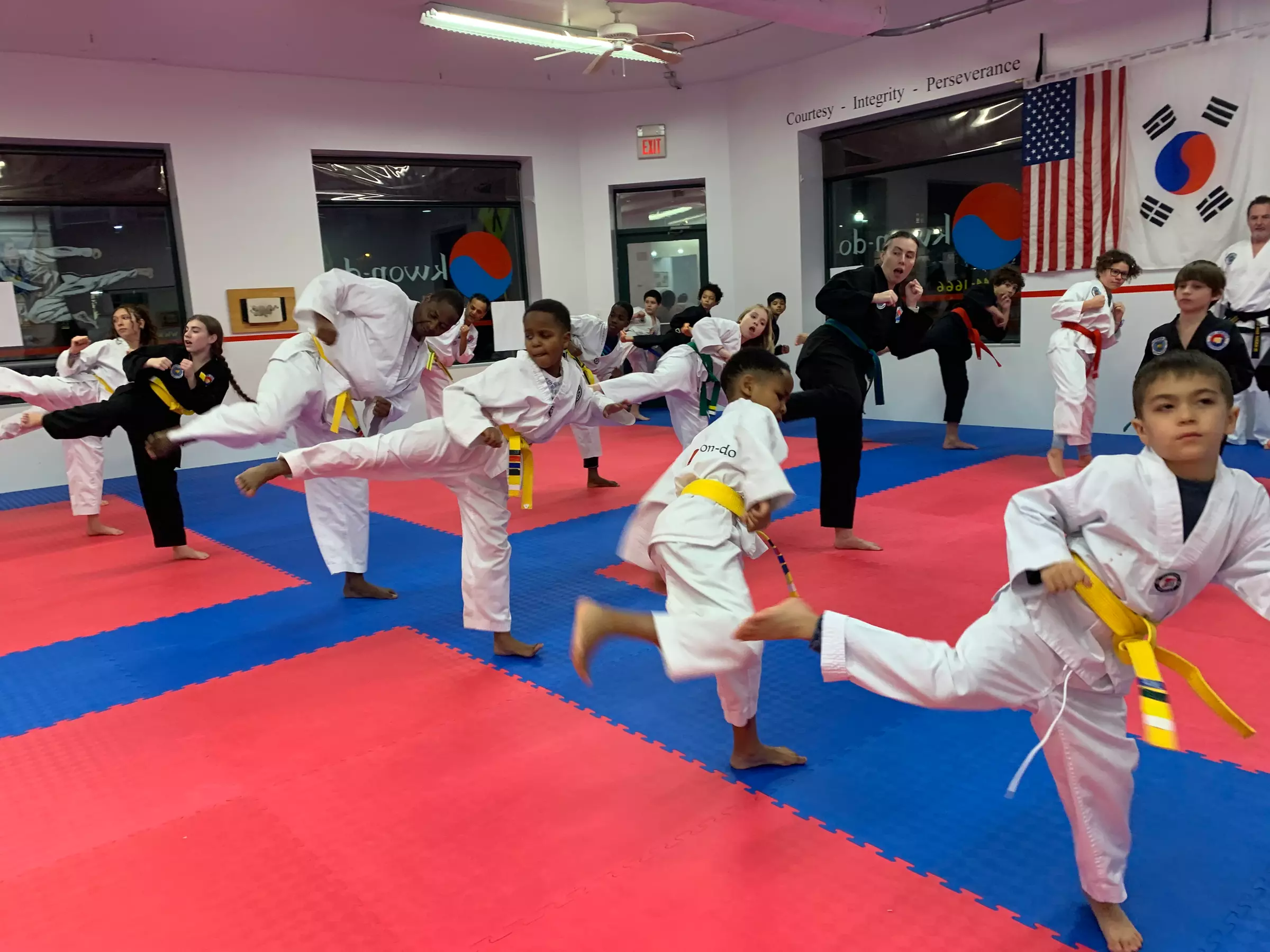 Unleash Your Inner Warrior: Transform with Taekwon-Do 