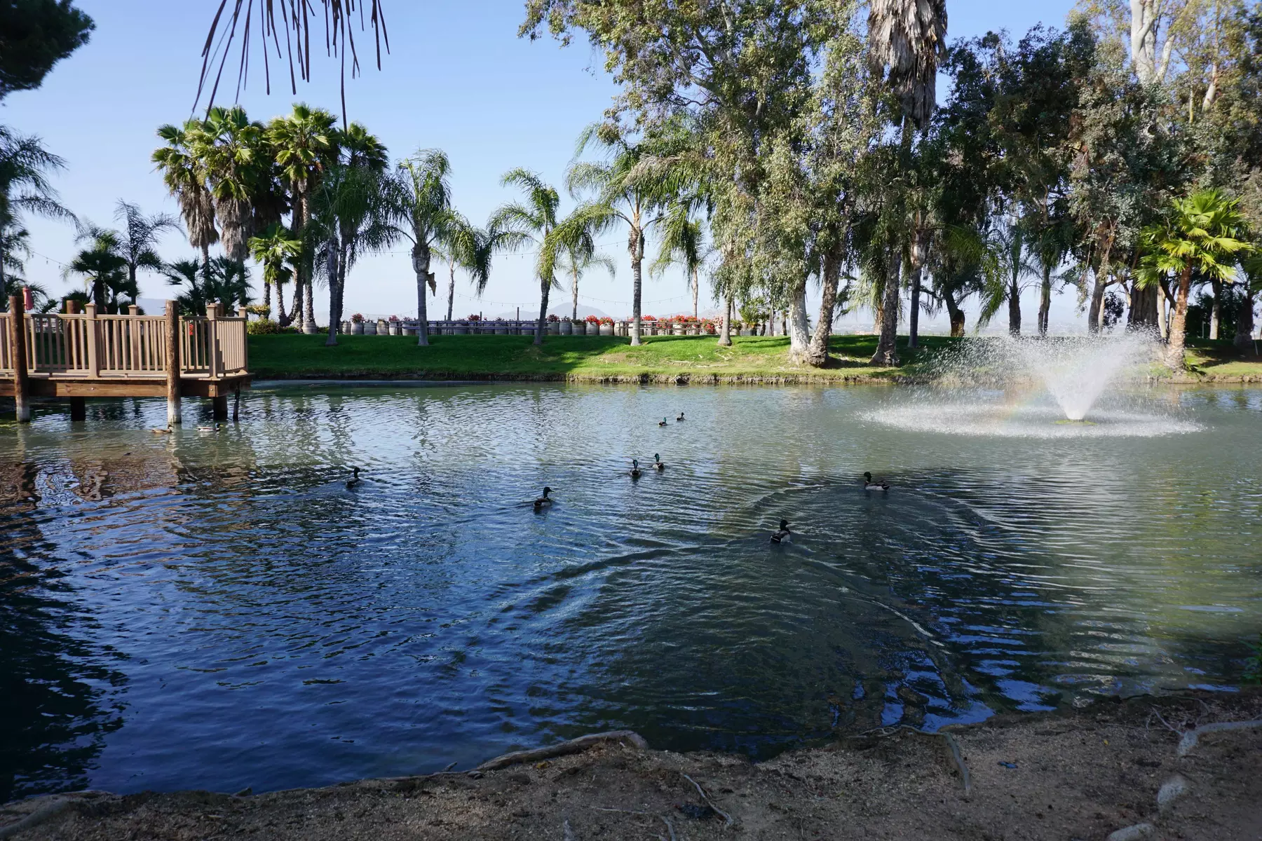 Wine Tasting Deals for 2, 4, or 6 at Bella Vista Winery