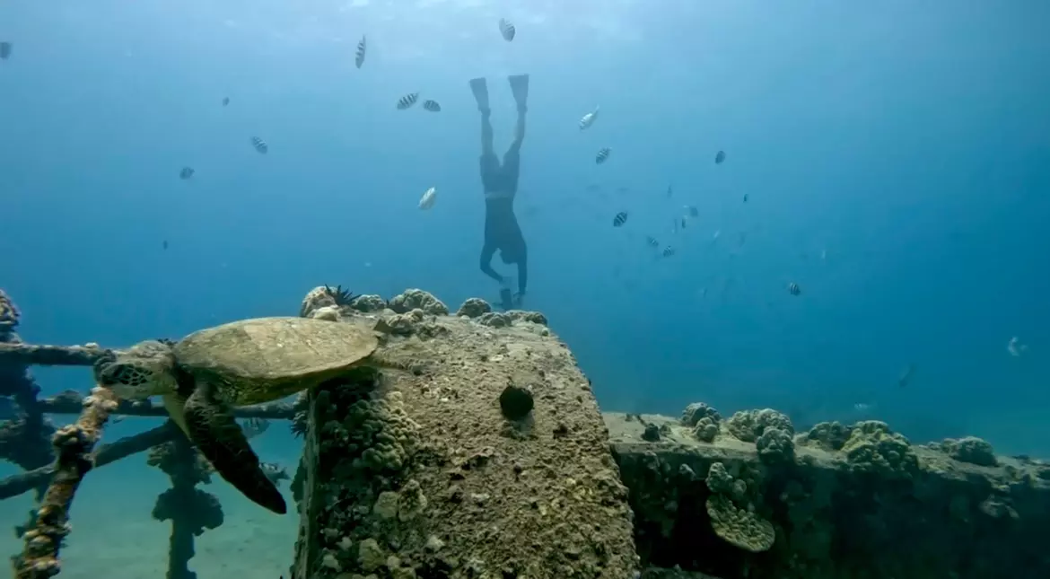 Experience jet snorkeling with turtles at Island Cruzin Hawaii, perfect for beginners in small groups up to 40% off - Second Medium
