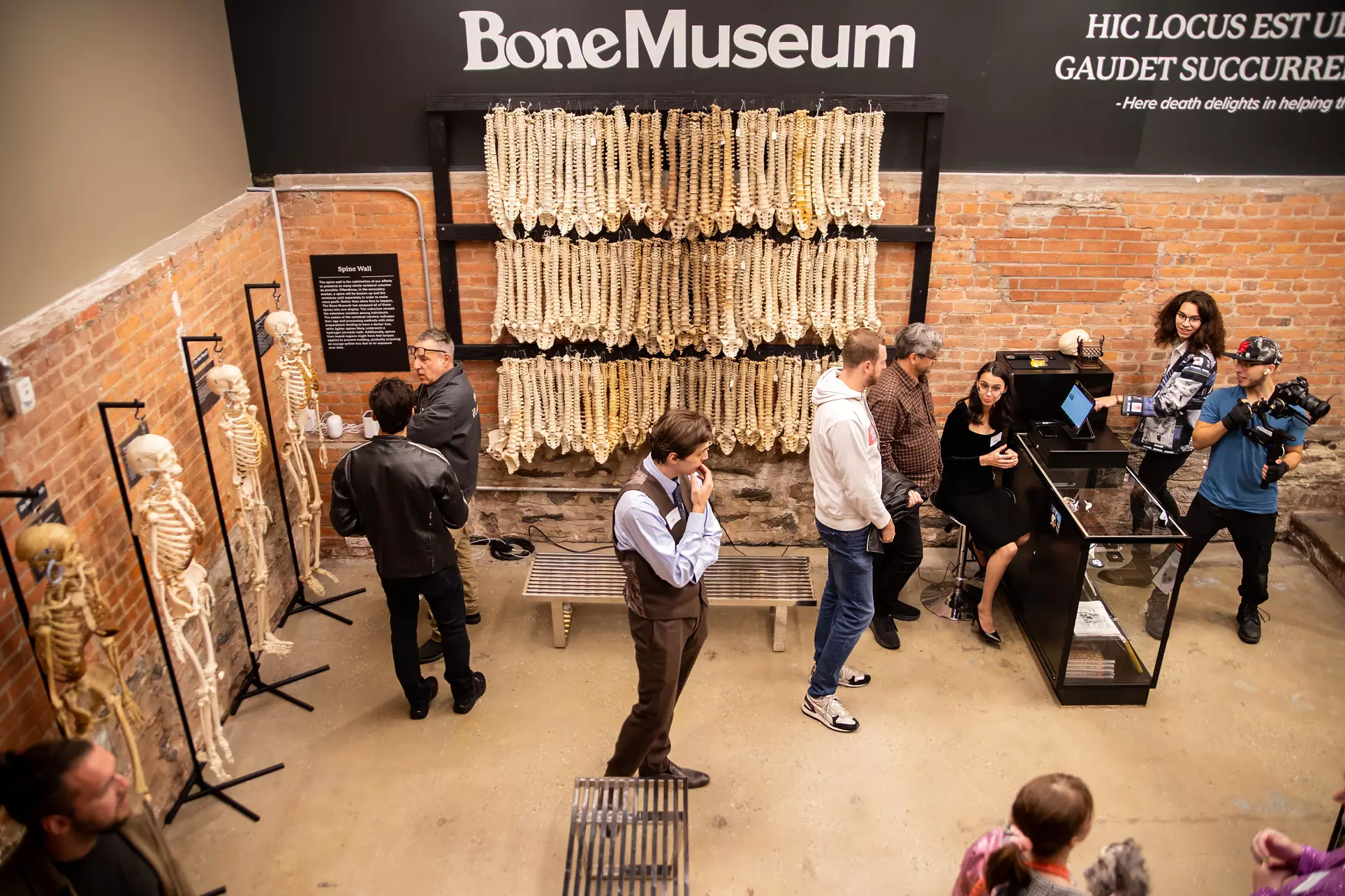 Up to 33% Off on Museum at The Bone Museum - Second Medium