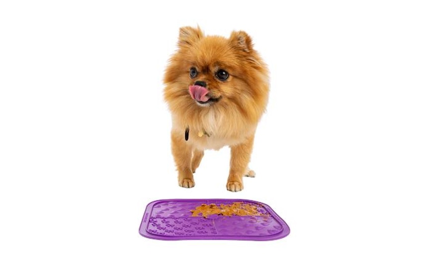 Image 3: Accessory - Pet (Retail) at Merton Connect Limited