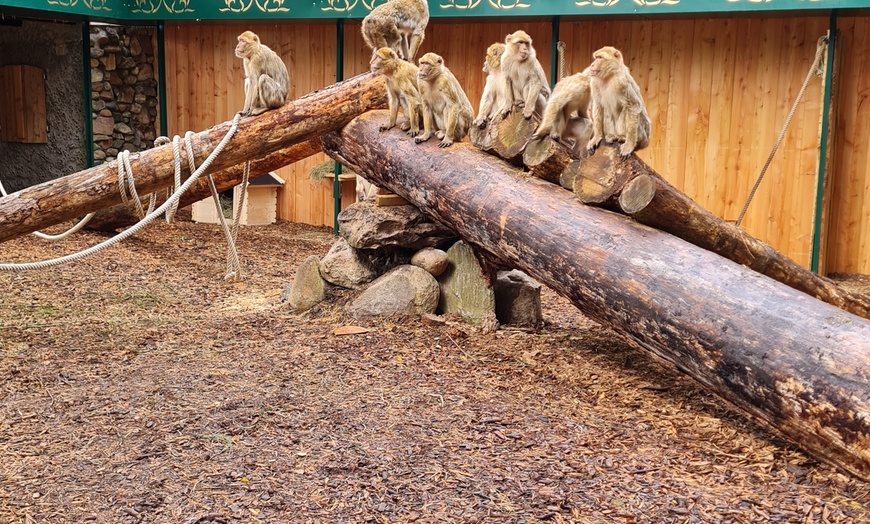 Image 2: Parkanlage bei Ritter Rost Magic Park Verden