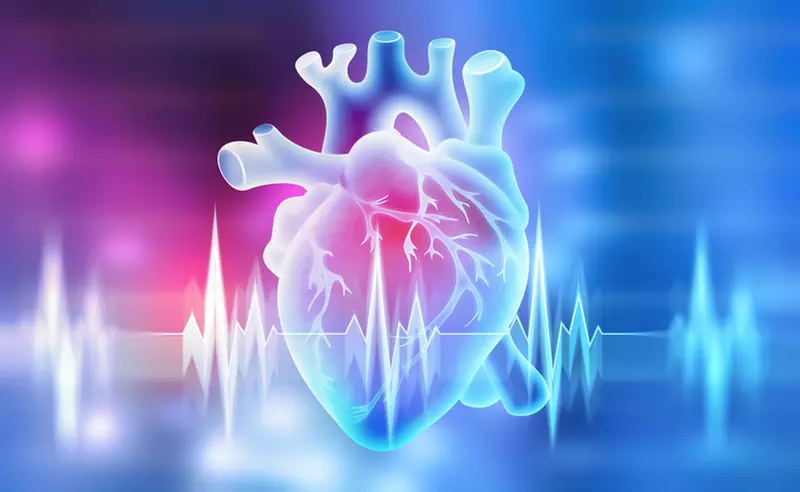 Up to 90% Off on Heart Scan/Calcium Score at Life Guard Imaging - Primary Image