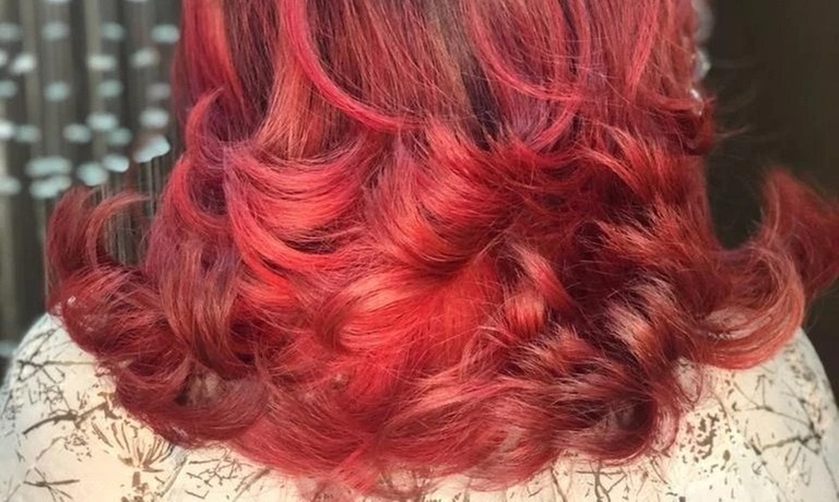Up to 49% Off on Salon - Hair Color / Highlights at The Blush Xtudio