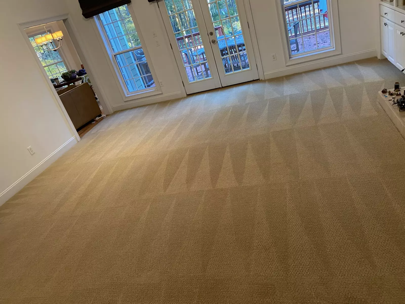  2, 3, 5, or 7 Rooms Carpet Cleaning & Small Hall Cleaning 