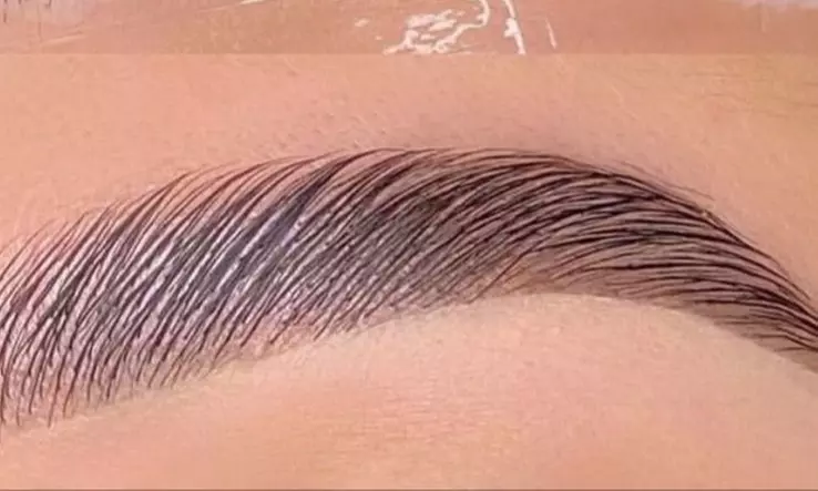 Up to 49% Off on Eyebrow Tinting at The beauty bliss - Primary Image