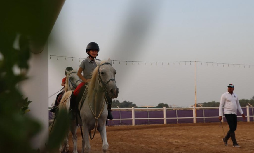 Image 3: Al Madam 2 Stables, 45-minute horse riding lesson