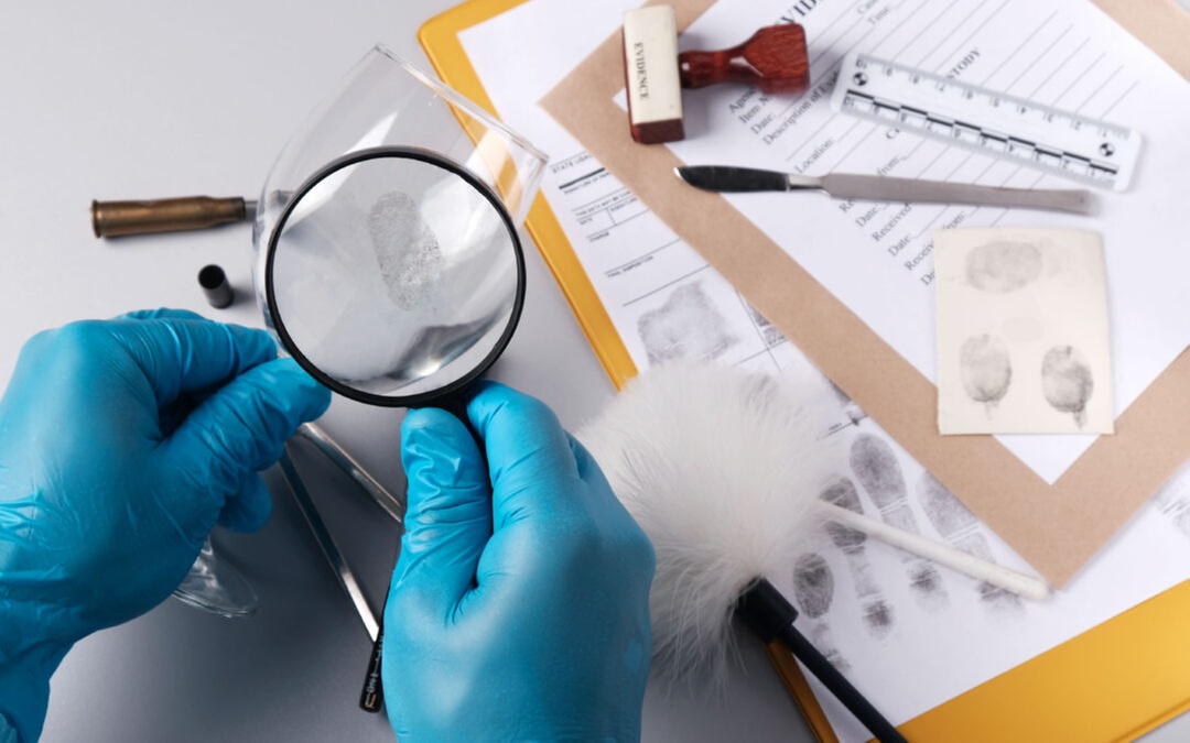 Discover the World of CSI with a Hands-On Experience Day