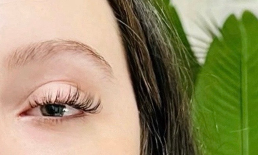 Image 2: Transform Your Look: Faux Mink Individual Classic Lash Extensions