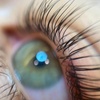 Image 1: Up to 25% Off on Eyelash Extensions at Ziad London