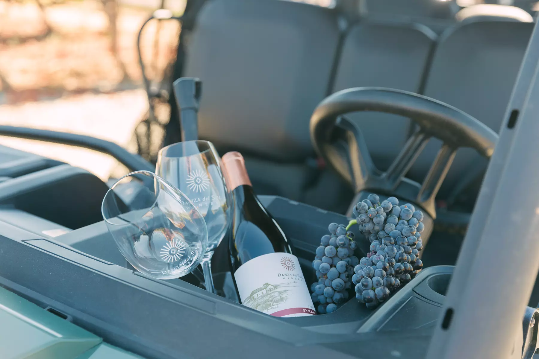 Explore the Vineyard with a UTV Tour and Wine Tasting Adventure