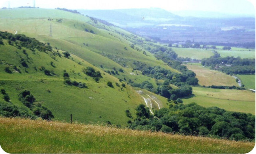 Image 3: Explore Devils Dyke on a Premium Ebike Tour!