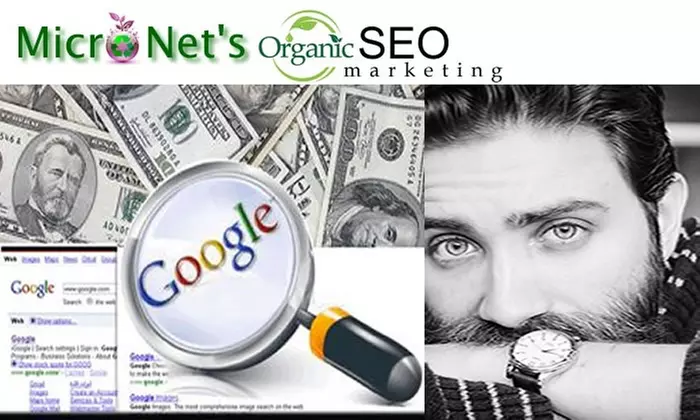 Up to 90% Off on Marketing Consultant at MicroNet Webs - Primary Image