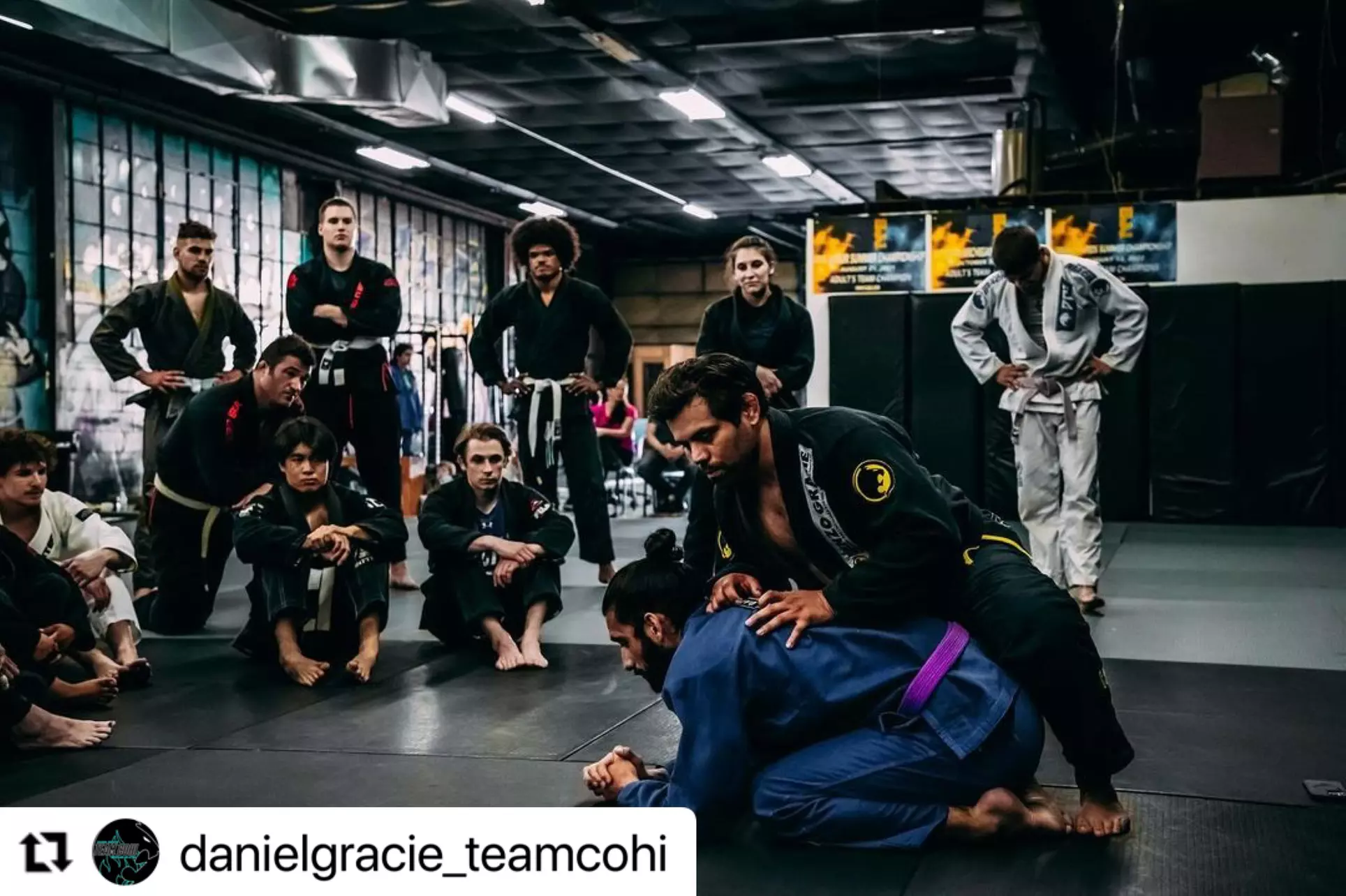 Experience Daniel Gracie Grand Rapids: Two weeks of unlimited classes with up to 60% off - Primary Image