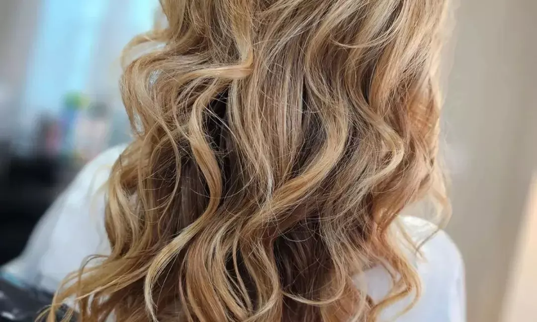 Cut or Trim, Shampoo & Blow-Dry w/ Optional Partial Highlights & More