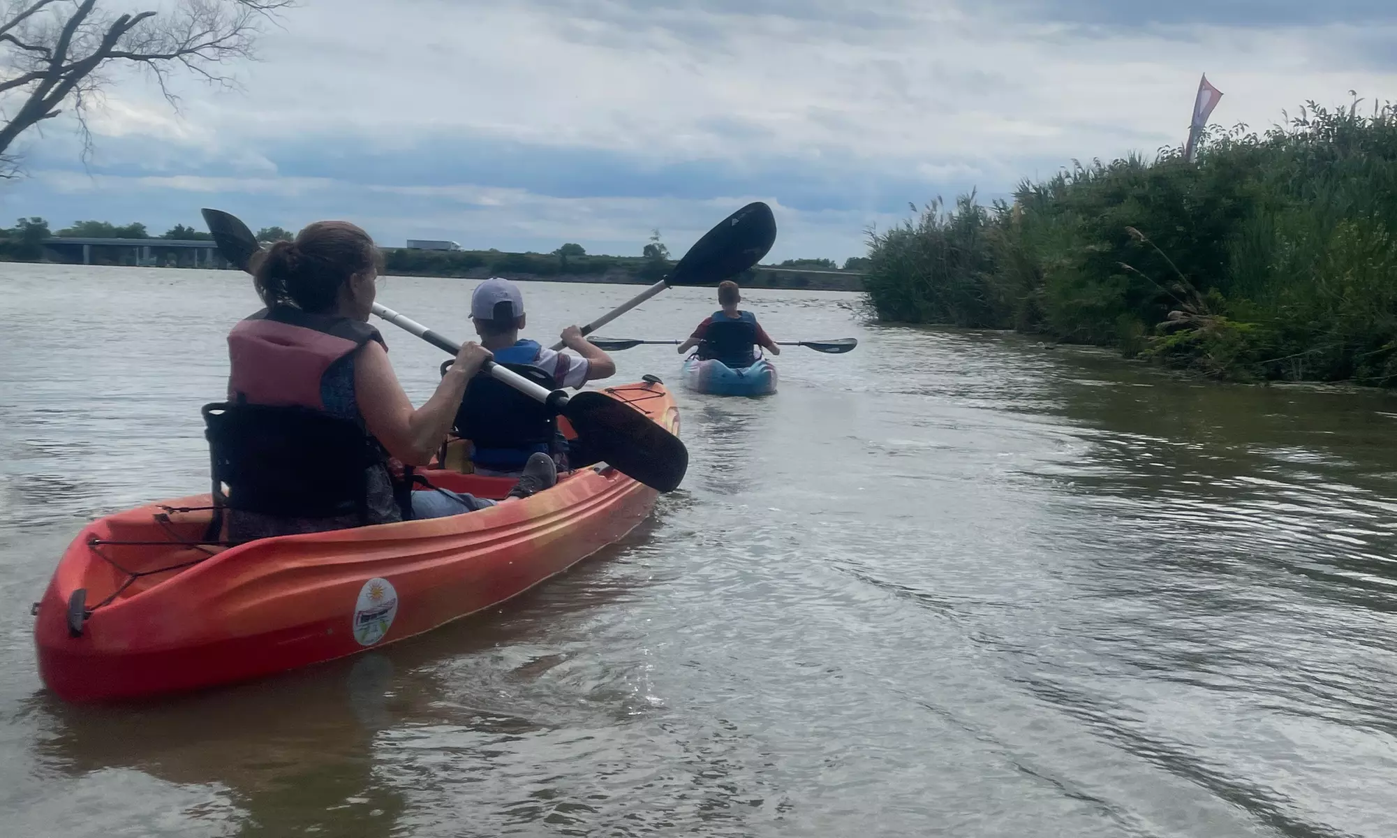 Explore Wildlife with 2 Hour Double Kayak Rentals