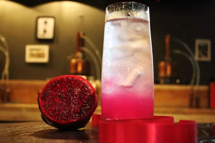 Cocktail Masterclass at The Spirit Of Wales Distillery