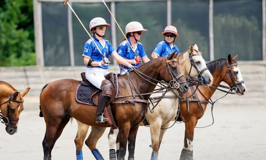 Image 2: Saddle Up for Fun: Experience the Thrill of Polo Like Never Before!