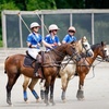 Image 2: Saddle Up for Fun: Experience the Thrill of Polo Like Never Before!